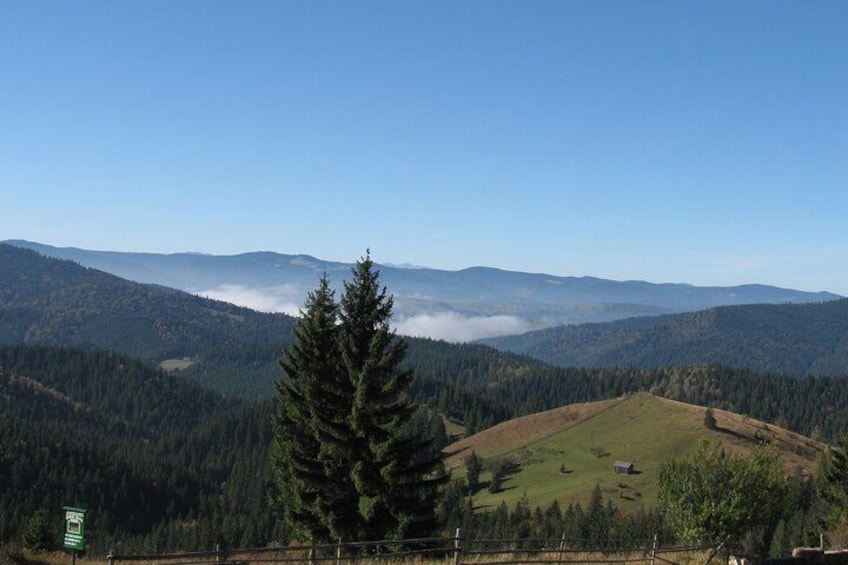 Un paysage de montagne avec un arbre à feuilles persistantes bien visible, des collines ondoyantes et un ciel dégagé. 3