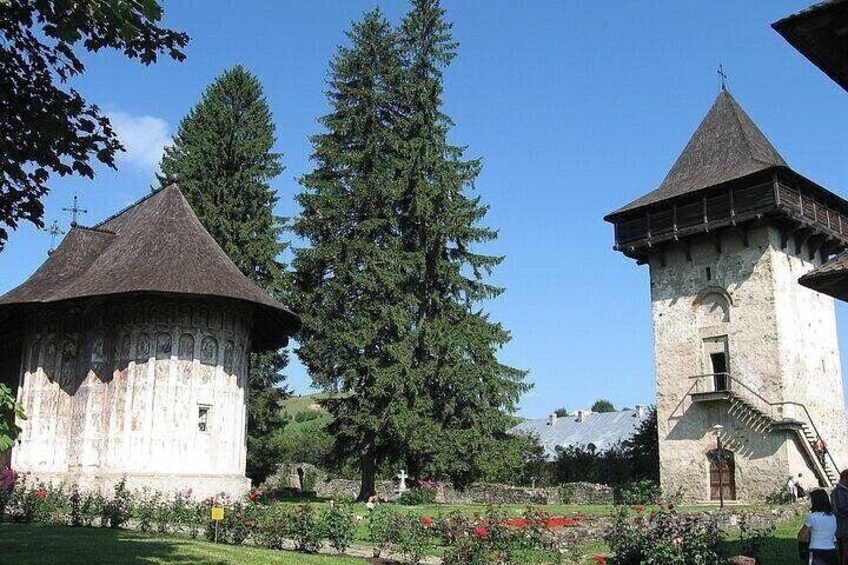 Bucovina Painted Monasteries Day Tour 4