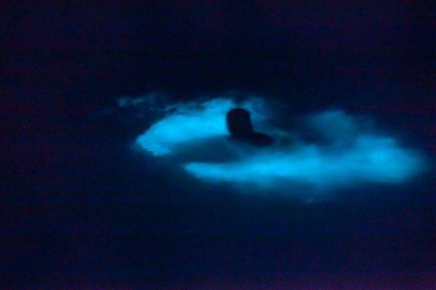 Bioluminescence & sunset local boat tour to Los Arcos Sanctuary 2