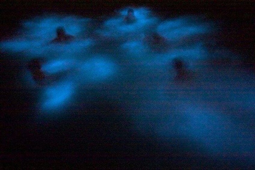Bioluminescence & sunset local boat tour to Los Arcos Sanctuary 3