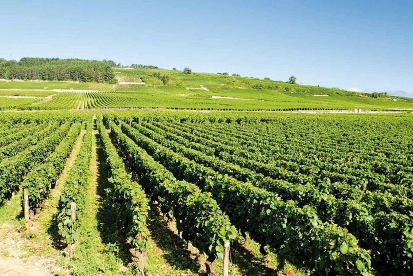 Private tour in Saint-Tropez 3