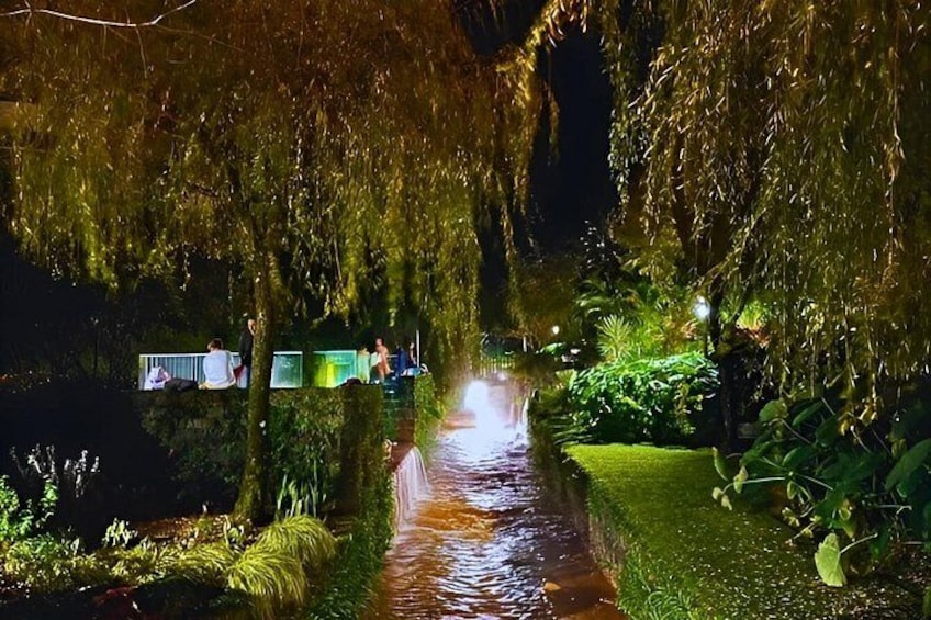 A nighttime garden with a water feature, illuminated plants, and a pathway. 5