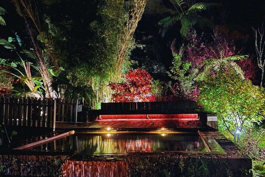 Un jardín nocturno con un elemento acuático reflectante, un área de estar iluminada y abundante vegetación. 1