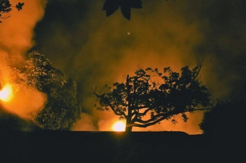 La silhouette d’un arbre se détache sur un fond de fumée et de flammes. 2