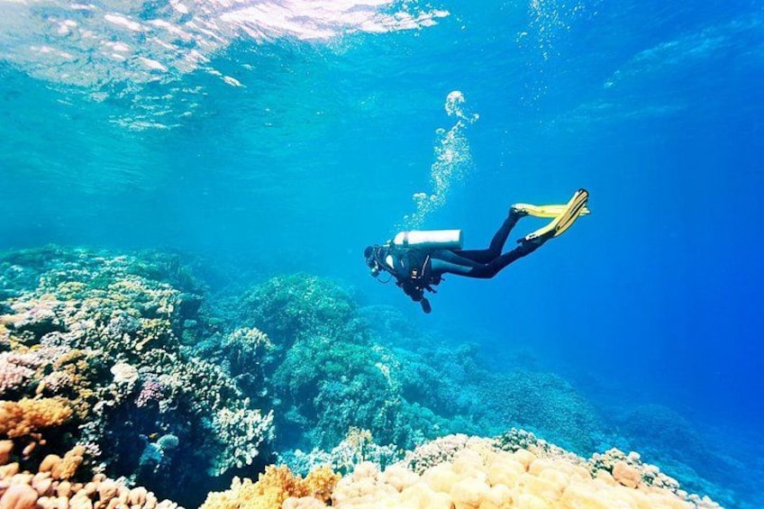 Mancora: Dive & Discover - Diving experience 1