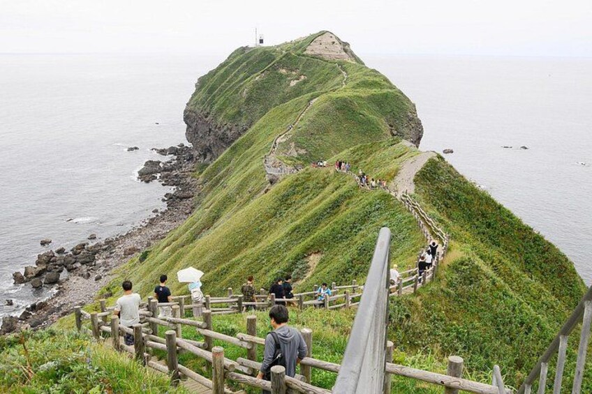 Cape kamui Shakotan Day Tour | Hokkaido 1