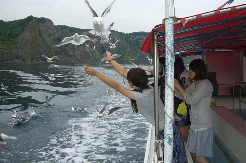 Cape kamui Shakotan Day Tour | Hokkaido 3