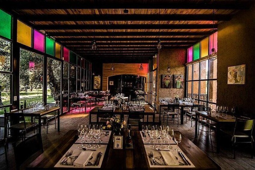 Exploring El Enemigo & Casa Vigil / Meet Mendoza´s Wine Icon 3