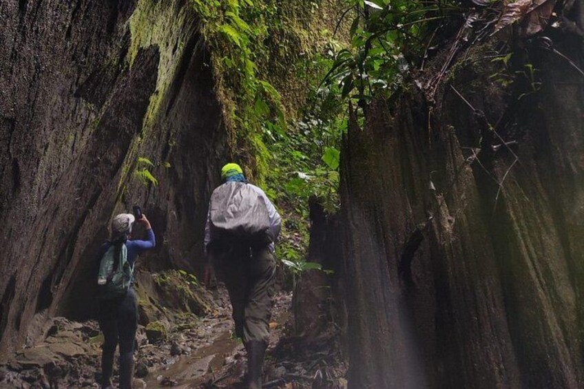 Nature at its purest in the Ecuadorian rainforest. 4