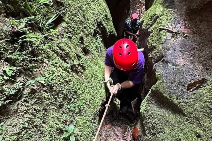 Trekking through lush greenery and dense foliage. 3