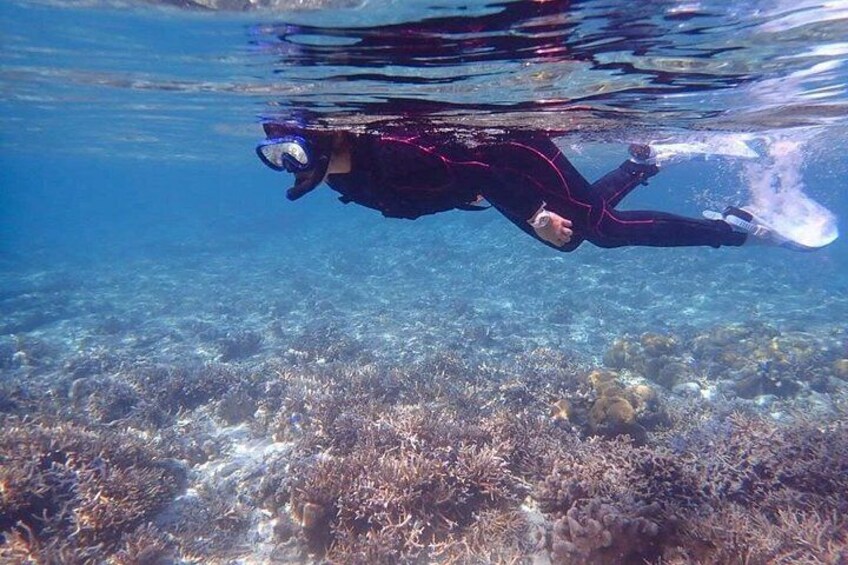 A person scuba diving underwater with a snorkel and fins. 3