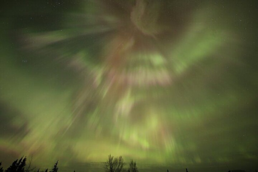 The Northern Lights over a forested landscape. 1