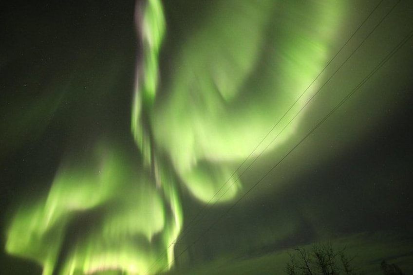 1 Day Shared Tour Arctic Circle and Aurora Viewing in Alaska 3