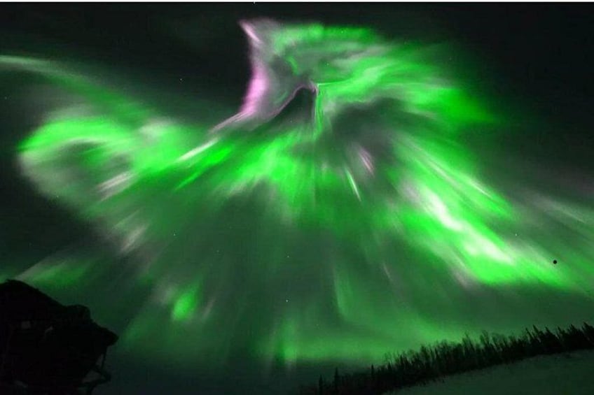 1 Day Shared Tour Arctic Circle and Aurora Viewing in Alaska 2