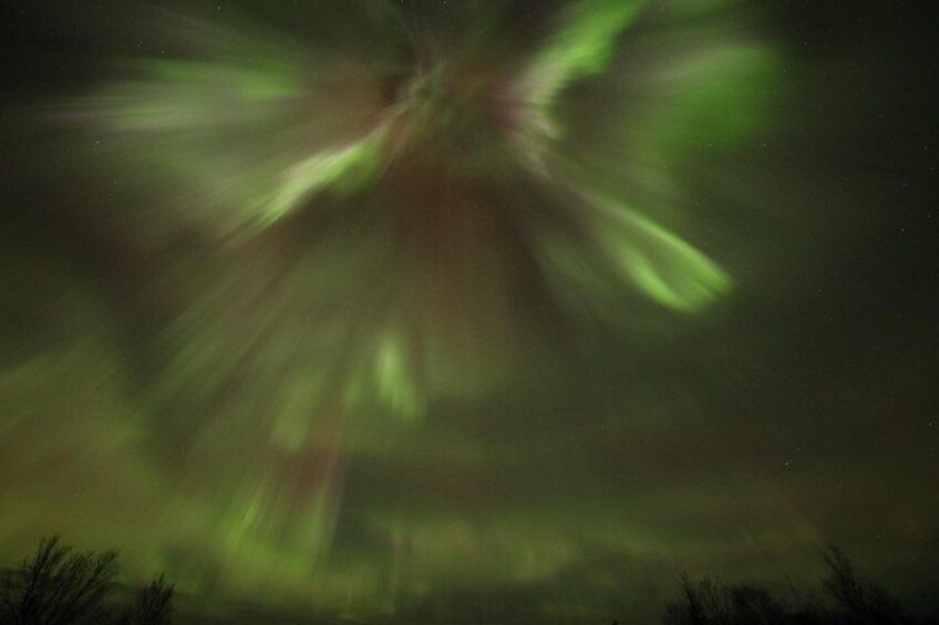 1 Day Shared Tour Arctic Circle and Aurora Viewing in Alaska 3