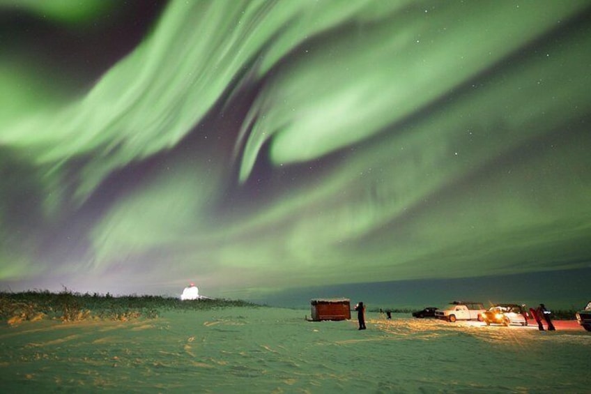1 Day Shared Tour Arctic Circle and Aurora Viewing in Alaska 2