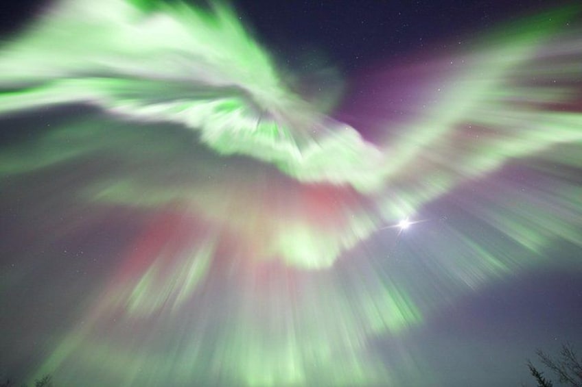 1 Day Shared Tour Arctic Circle and Aurora Viewing in Alaska 4
