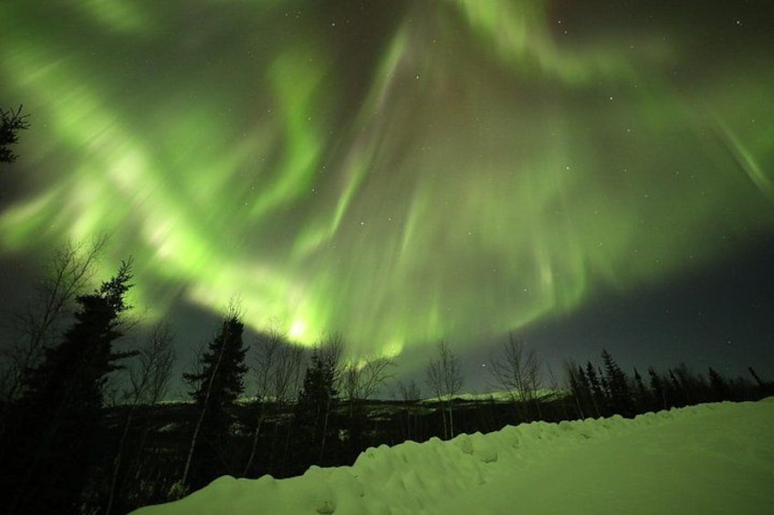 1 Day Shared Tour Arctic Circle and Aurora Viewing in Alaska 2