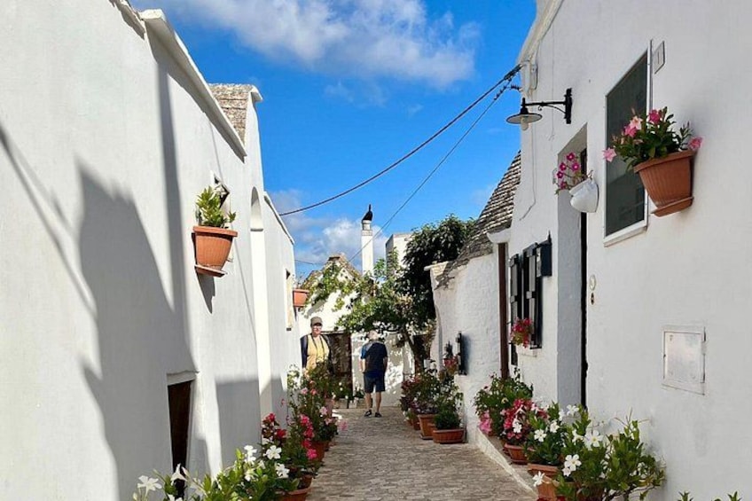 ALBEROBELLO 3
