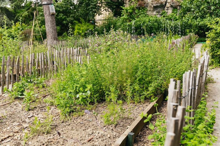 Picture 9 for Activity Paris: Jardin d'Acclimatation, Unlimited Pass, 1-Day 3
