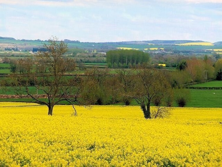 Cotswolds Road Trip Guidebook: Bourton, Bibury & Blenheim Palace 2