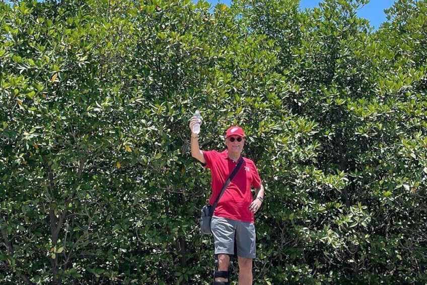 A person in a red shirt and cap holding a white object, standing in front of dense green foliage. 5