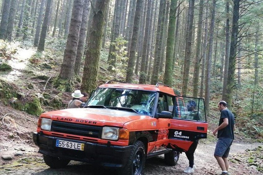 Un Land Rover rojo con una placa, estacionado en una zona boscosa. 4