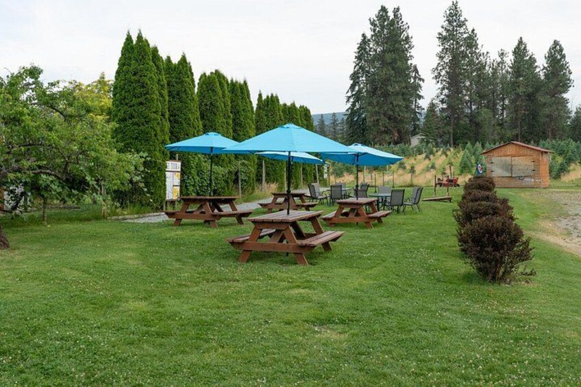 A picnic area with tables and blue umbrellas, surrounded by trees and a small cabin. 4