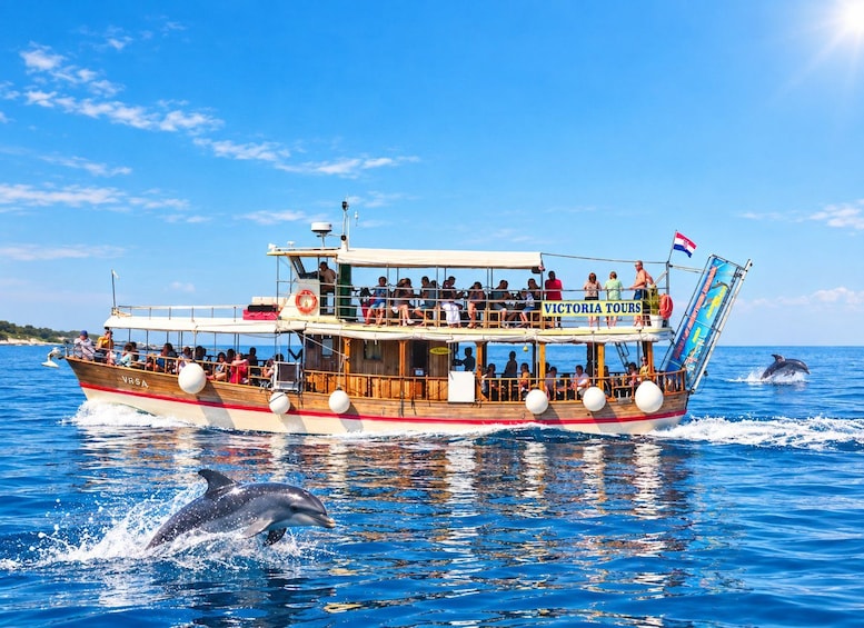 Picture 9 for Activity From Poreč: Sunset Dolphin Cruise with Drink included 2