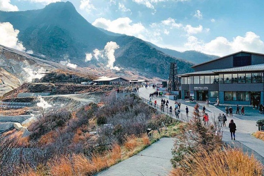 Fuji Hakone Private Tour with bilingual chauffeur 2