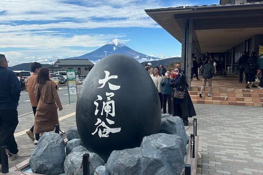 Fuji Hakone Private Tour with bilingual chauffeur 5