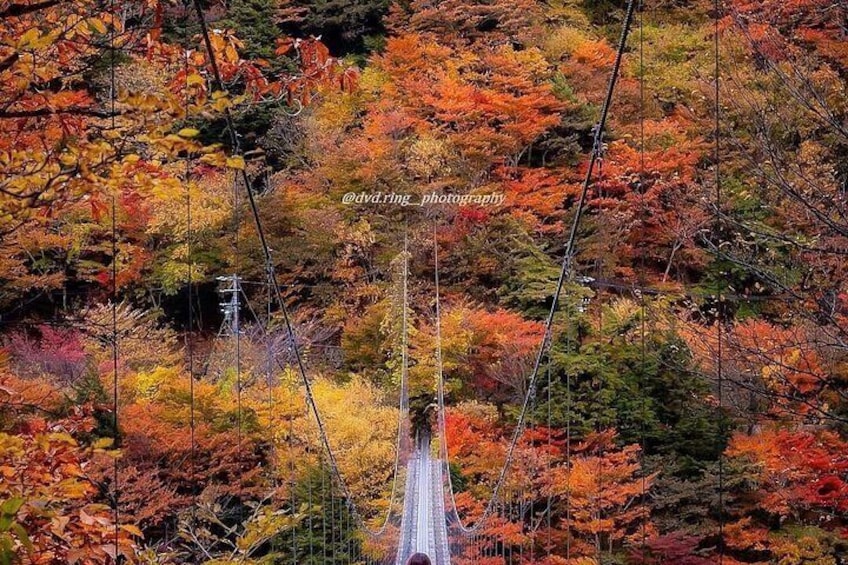Fuji Hakone Private Tour with bilingual chauffeur 2