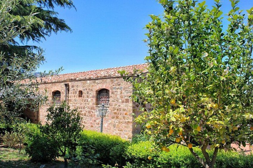 Organic Wine & Heritage Estate: Private Journey from Cefalù 3