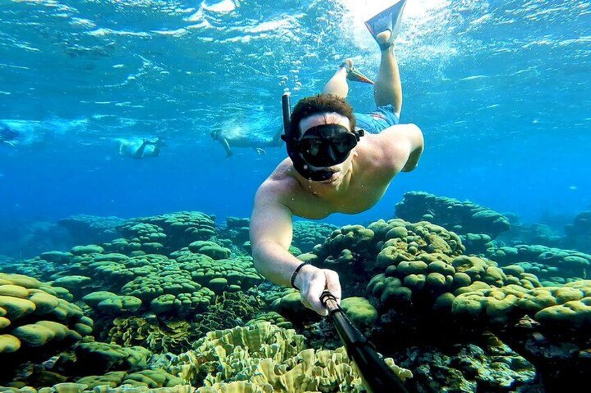 Tropical Sailing Experience with BBQ Lunch or BBQ Dinner in Aruba 3