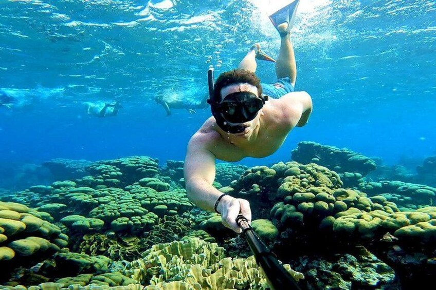 Tropical Sailing Experience with BBQ Lunch or BBQ Dinner in Aruba 2