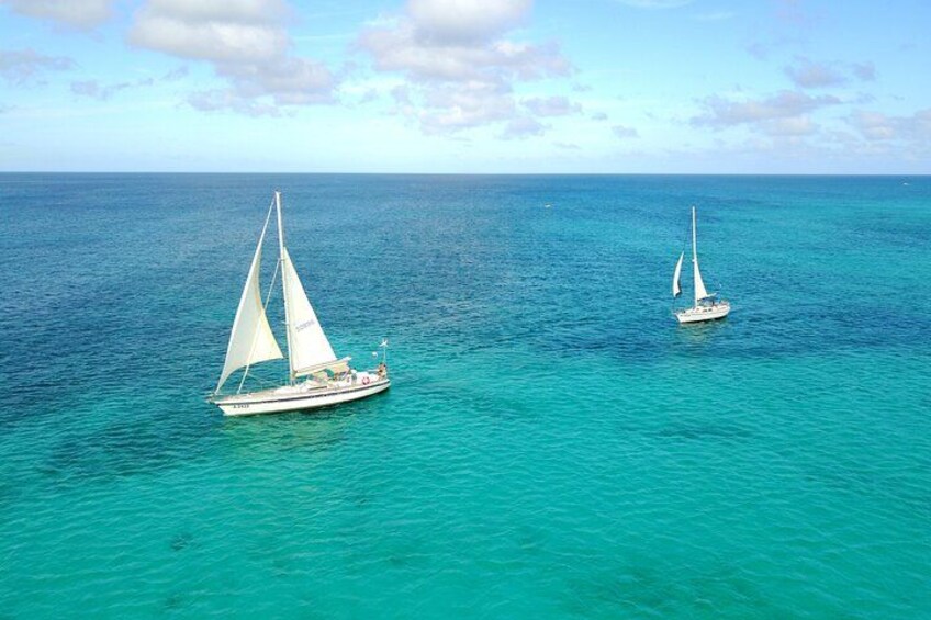 Tropical Sailing Experience with BBQ Lunch or BBQ Dinner in Aruba 1
