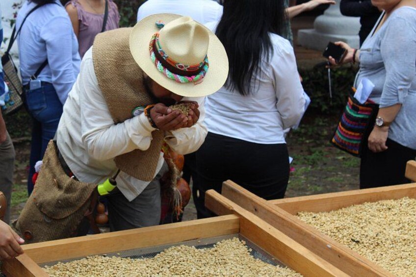 Full Day Coffee Guided Tour in Coatepec 1