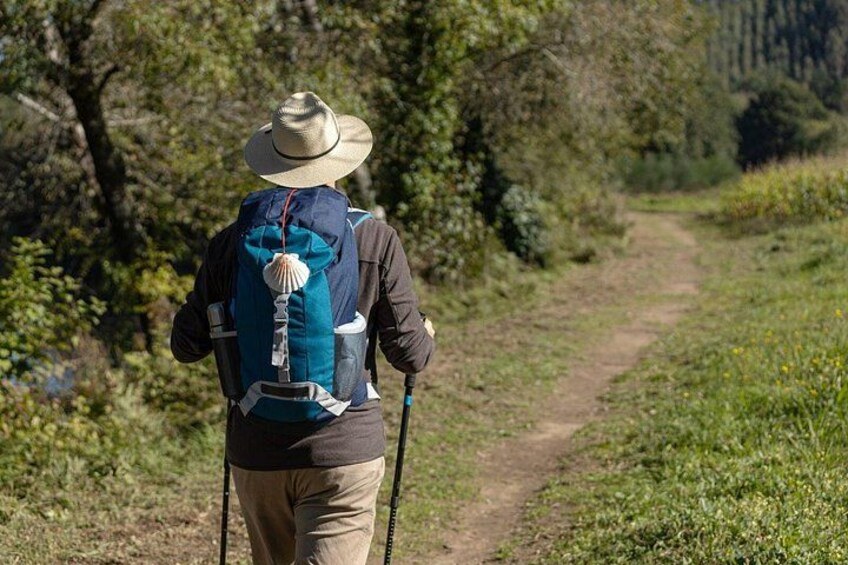 7-Day Portuguese Camino de Santiago Tour from Tui 1