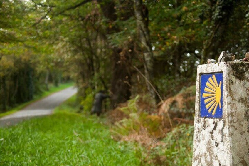 Portuguese Way from Tui - Way 1 4