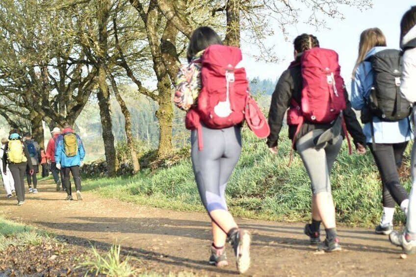 7-Day Portuguese Camino de Santiago Tour from Tui 3