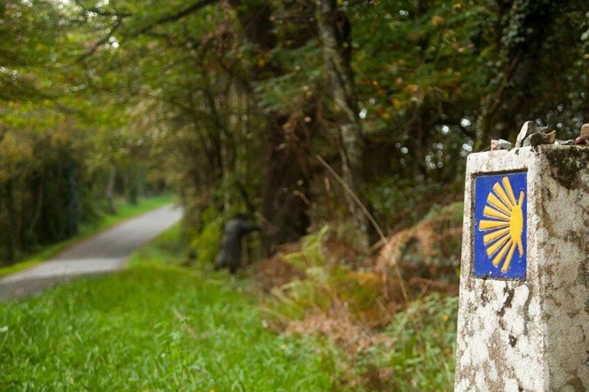 7-Day Portuguese Camino de Santiago Tour from Tui 4