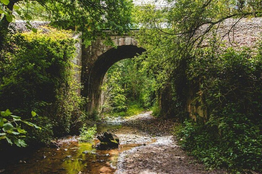 7-Day Portuguese Camino de Santiago Tour from Tui 2