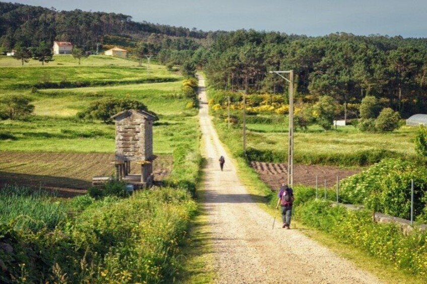 7-Day Portuguese Camino de Santiago Tour from Tui 3