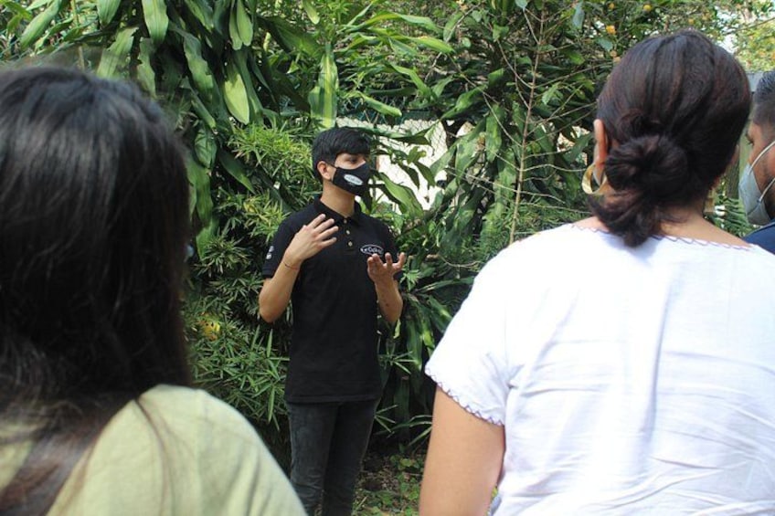 A person in a black shirt and cap speaking to a group of people in a natural setting with dense foliage. 2