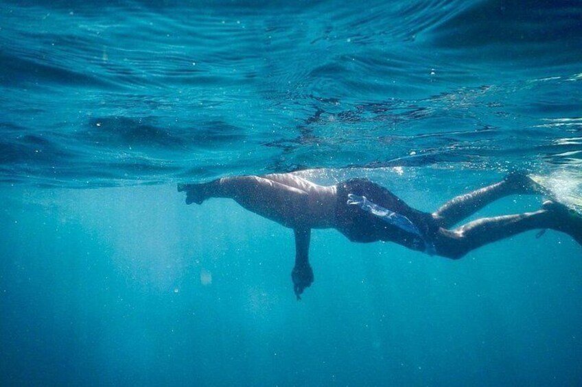 Snorkeling near Tortuga Island 5