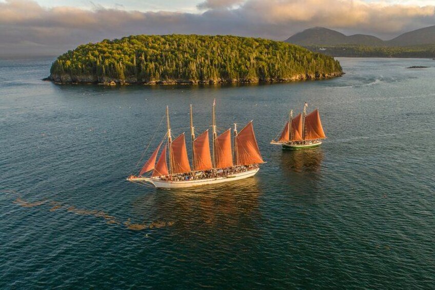 Two sailboats on calm waters with a forested island in the background. 5