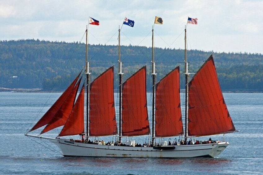 Un voilier doté de plusieurs voiles, de drapeaux et transportant des passagers, naviguant sur une étendue d’eau dont la rive est bordée d’une forêt. 3