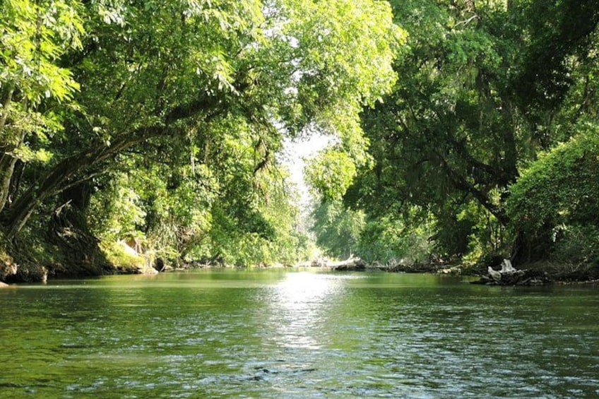 Half-Day Tour with Safari Float and Chocolate Experience 1