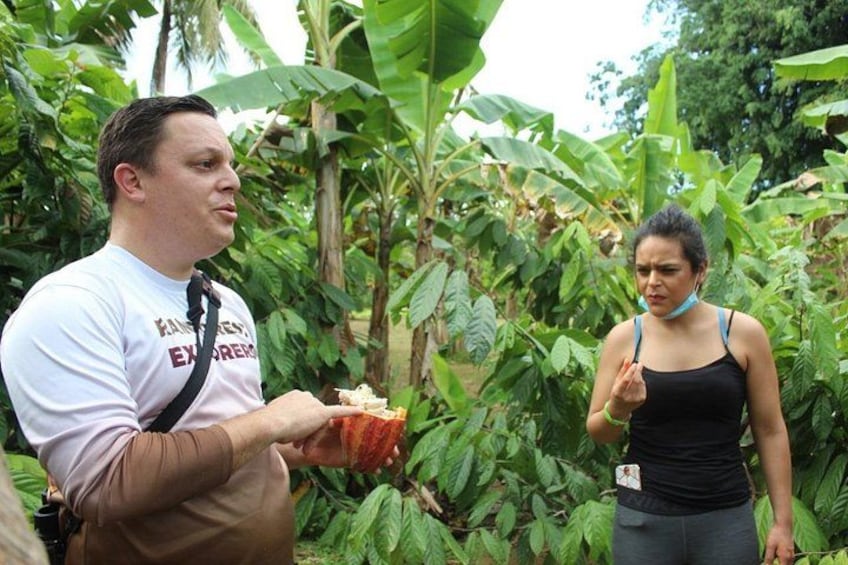 Half-Day Tour with Safari Float and Chocolate Experience 3