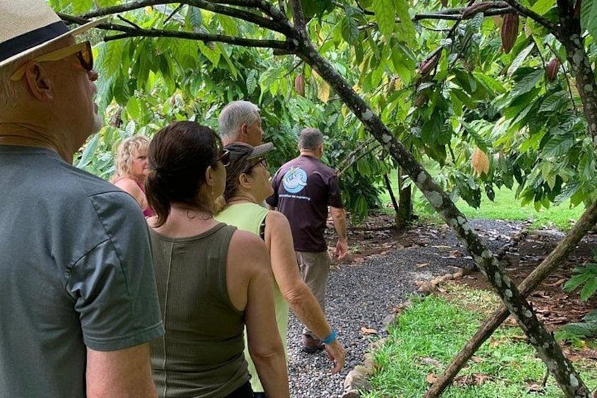 Half-Day Tour with Safari Float and Chocolate Experience 2